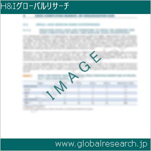 グローバルリサーチ調査レポートのイメージ